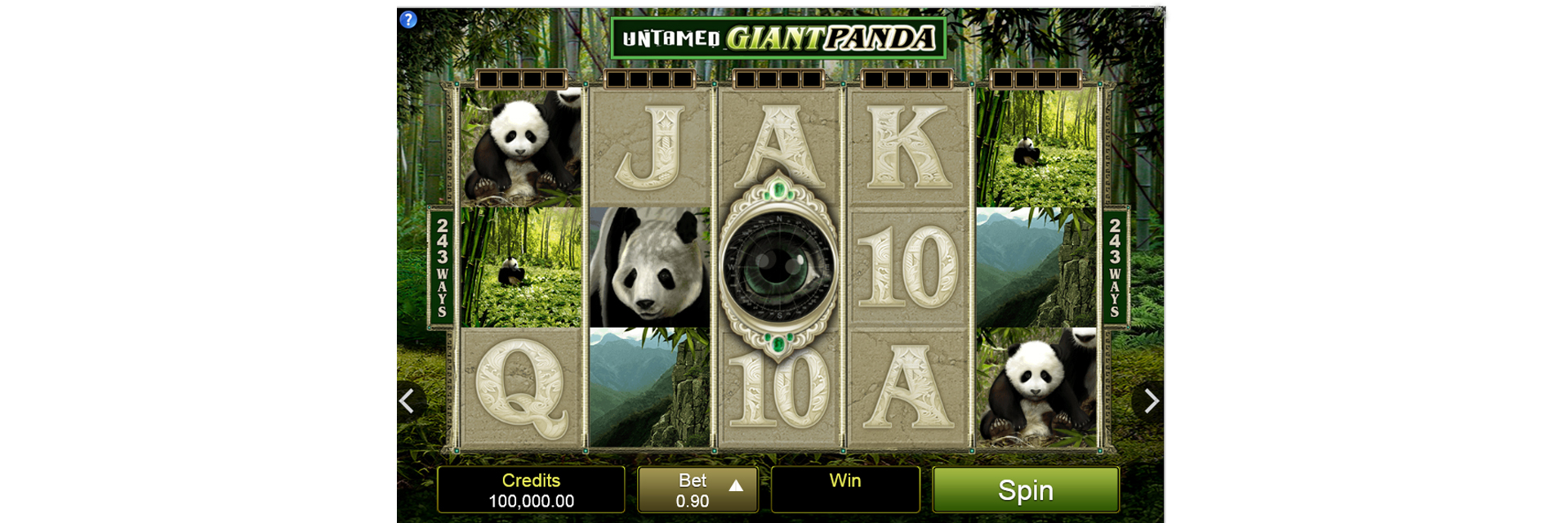 Panda slot machine.