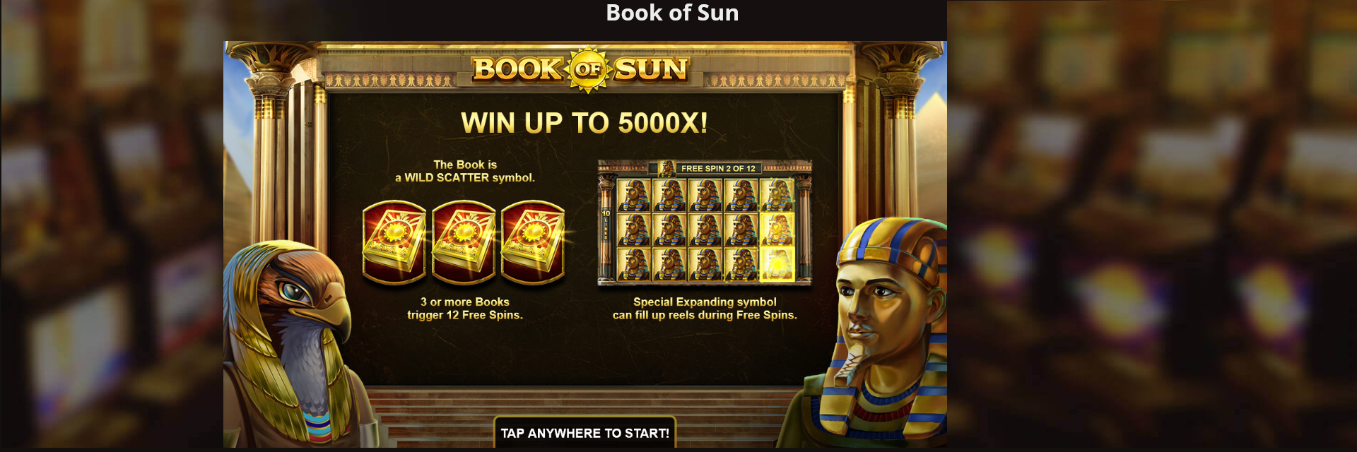 Book of sun slot.