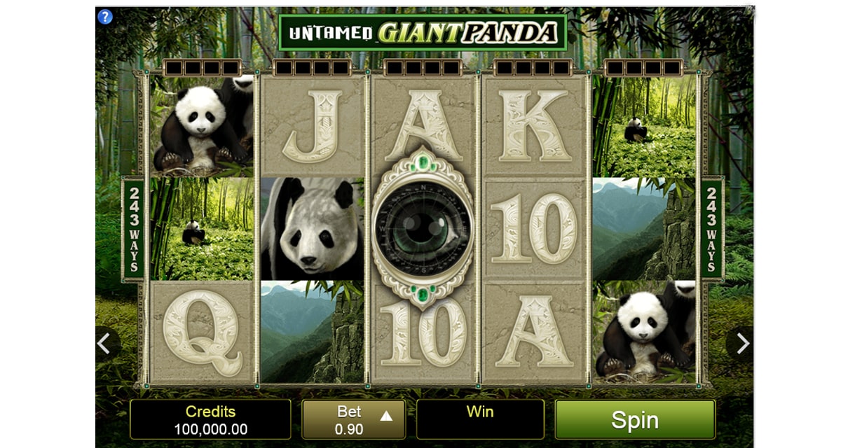 dragon vs panda slot machine