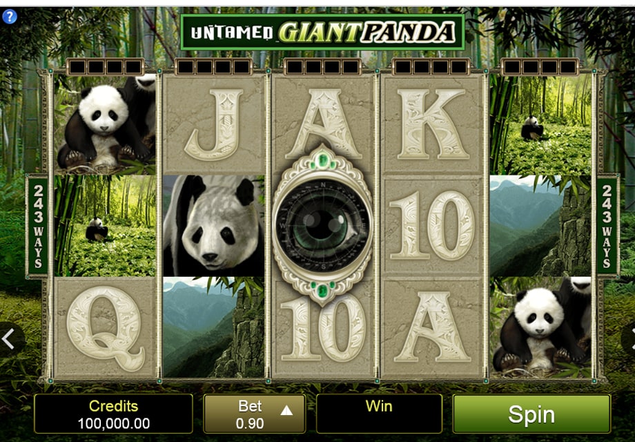 panda free slot machine