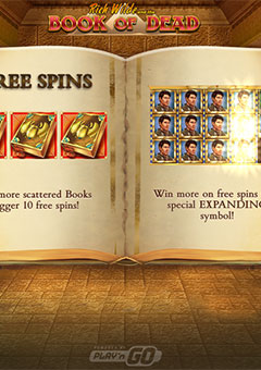 Book of Dead slot. 